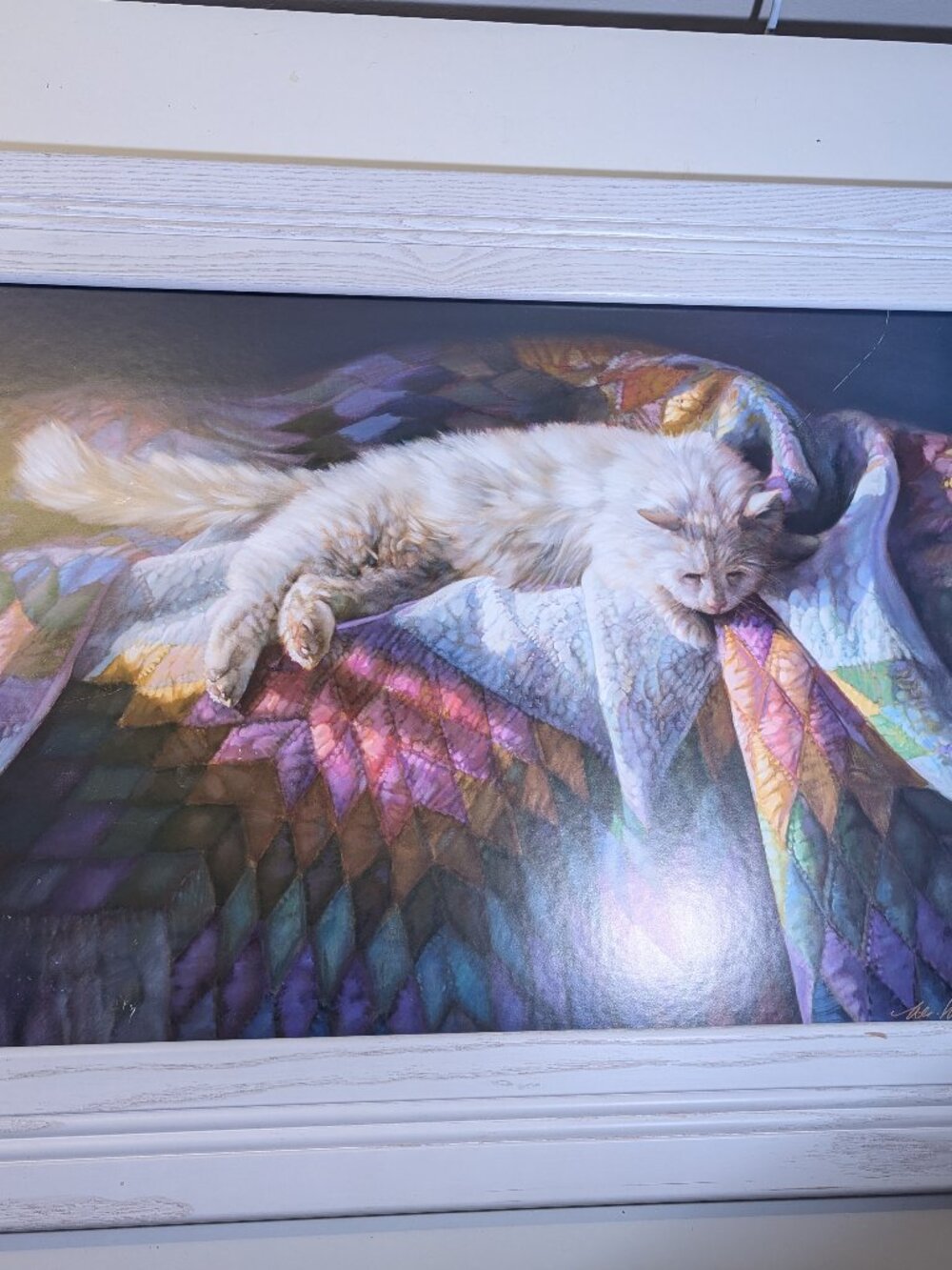 "Cat in Composition" by Nancy N.A. Noel Framed Print